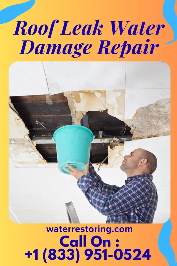 Roof Leak Water Damage Repair in Antreville, SC